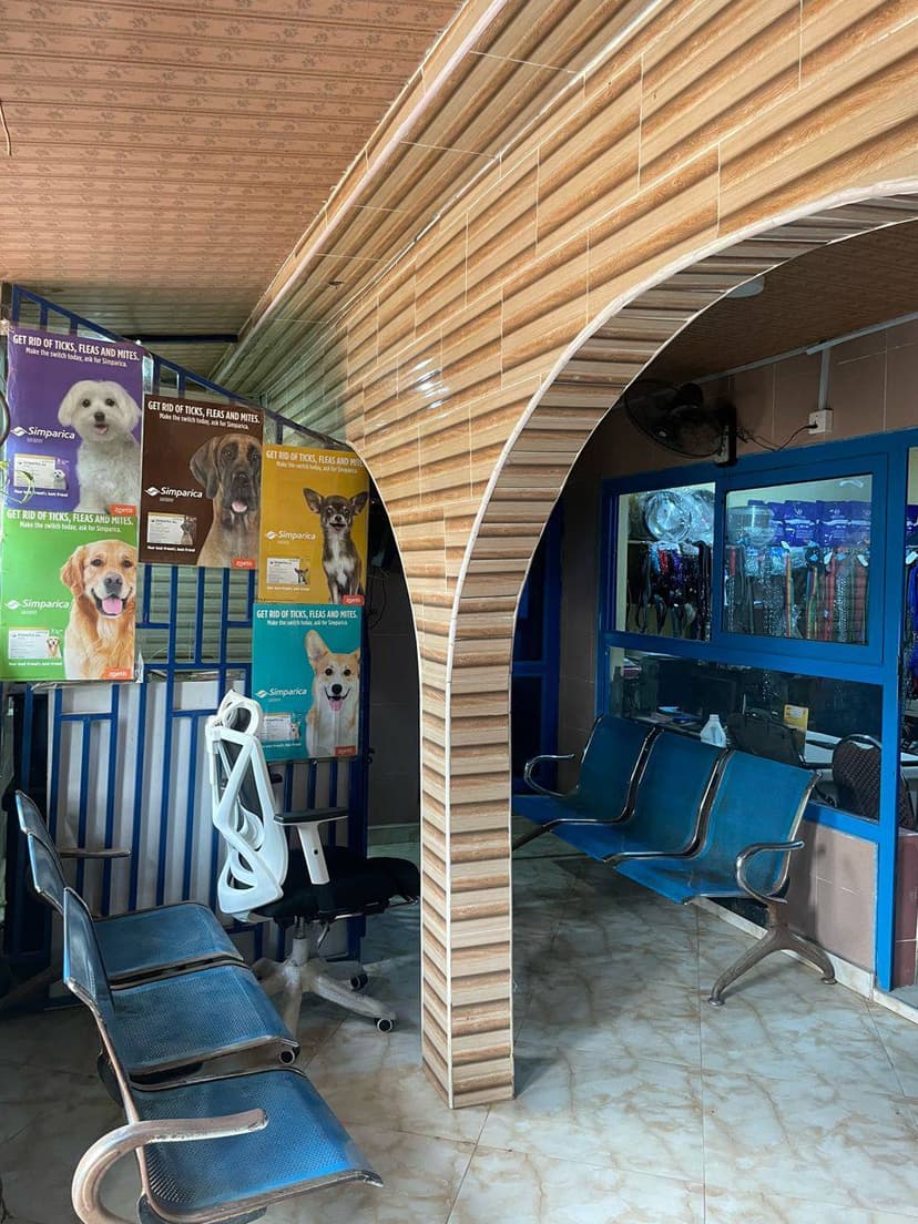 Waiting area at the Drushba clinic