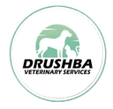Drushba Logo
